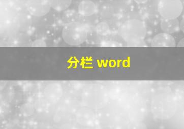 分栏 word